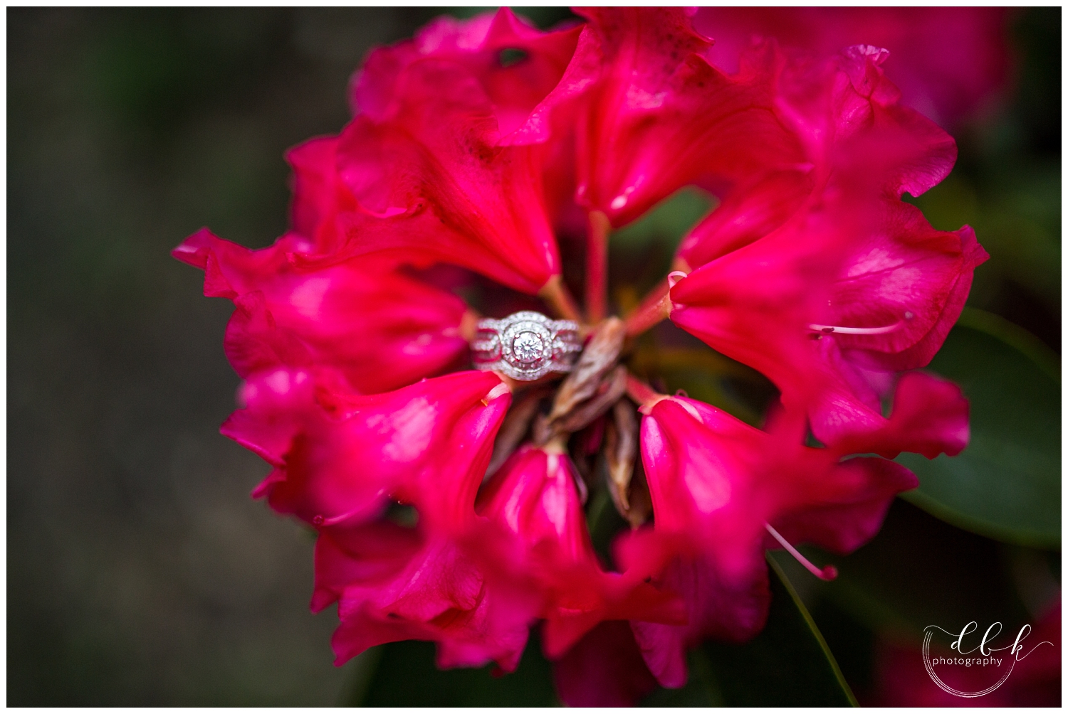 close up of engagement ring sitting in fuchsia flowers
