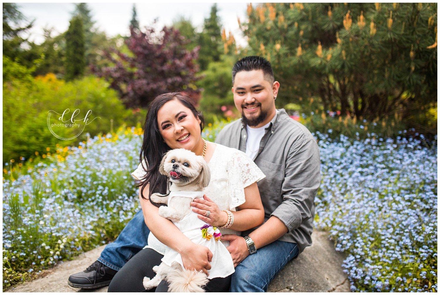 engaged couple with their little dog in field of blue flowers for engagement pictures