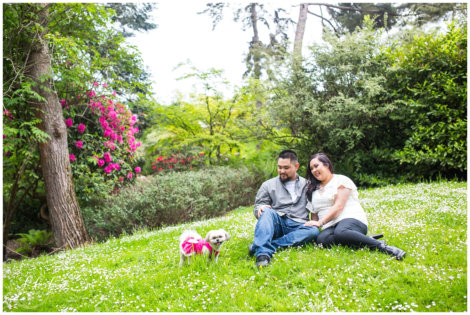 spring engagement picture of couple sitting on a hill with their dog