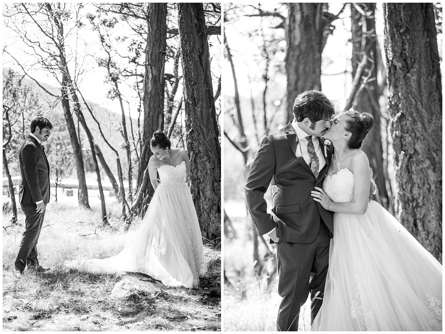 dreamy black and white bride and groom portraits in a forest at Washington Park in Anacortes