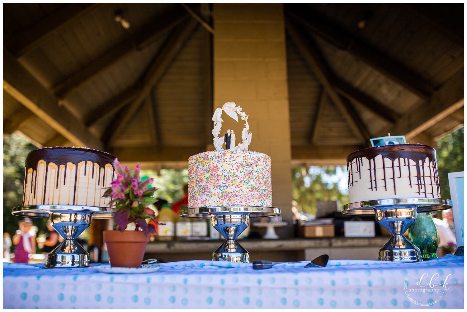three wedding cakes at picnic area of Washington Park in Anacortes