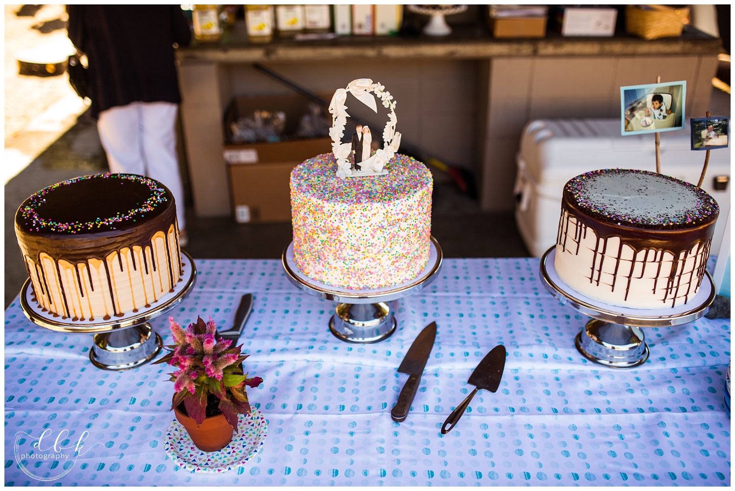 variety of wedding cakes and wildflowers at summer wedding at Washington Park picnic ground in Anacortes