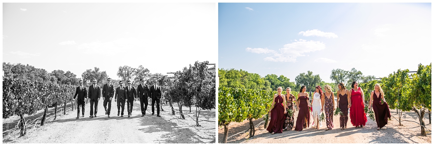 bridesmaids and groomsmen walking up the driveway at Casa Rondena Winery in Albuquerque, New Mexico