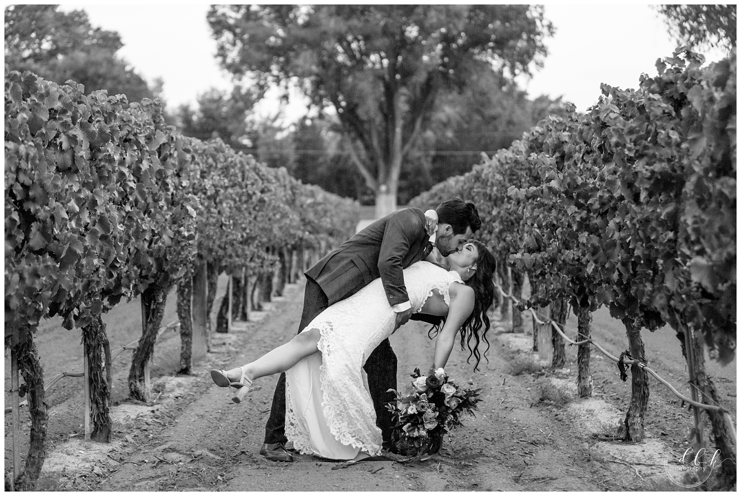 groom dipping his bride for passionate kiss among the grape vines at Casa Rondena Winery