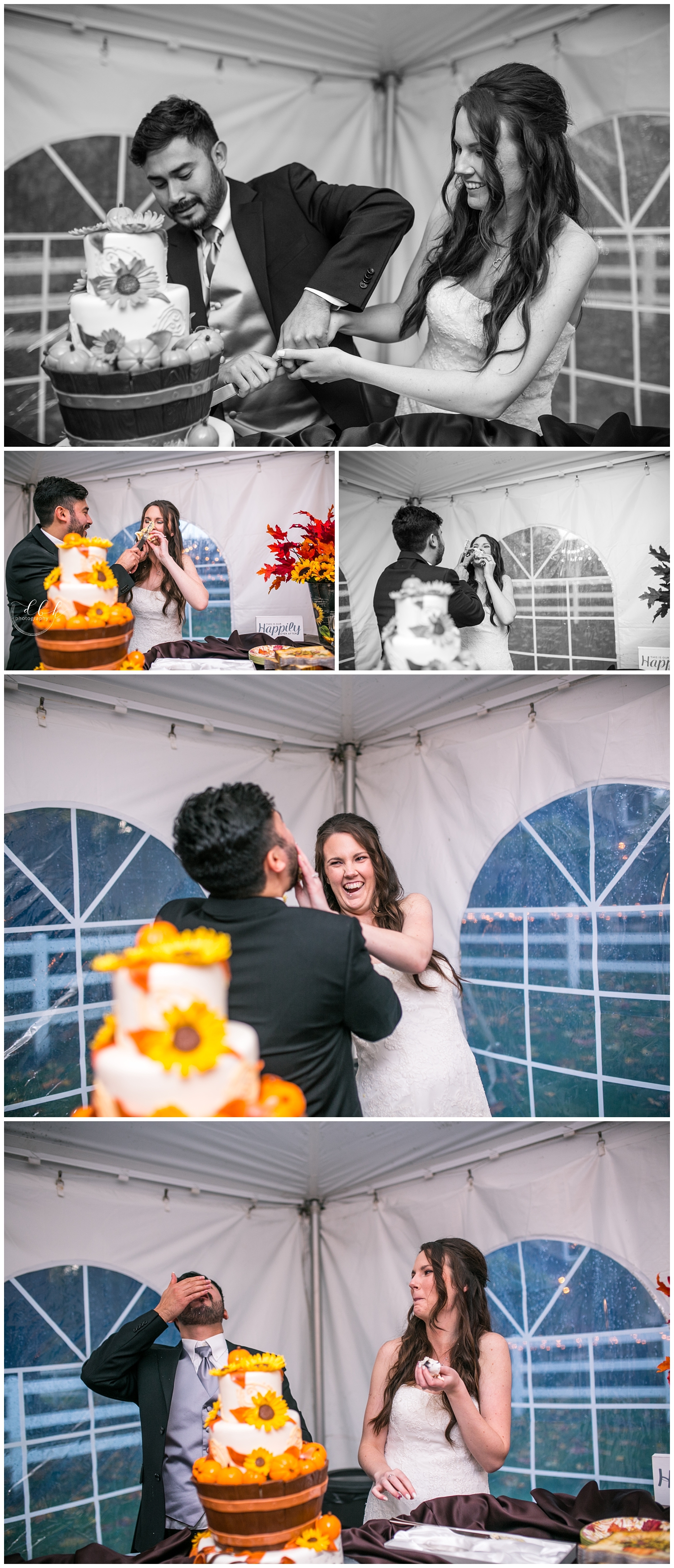bride and groom cut their fall-themed wedding cake at Filigree Farm
