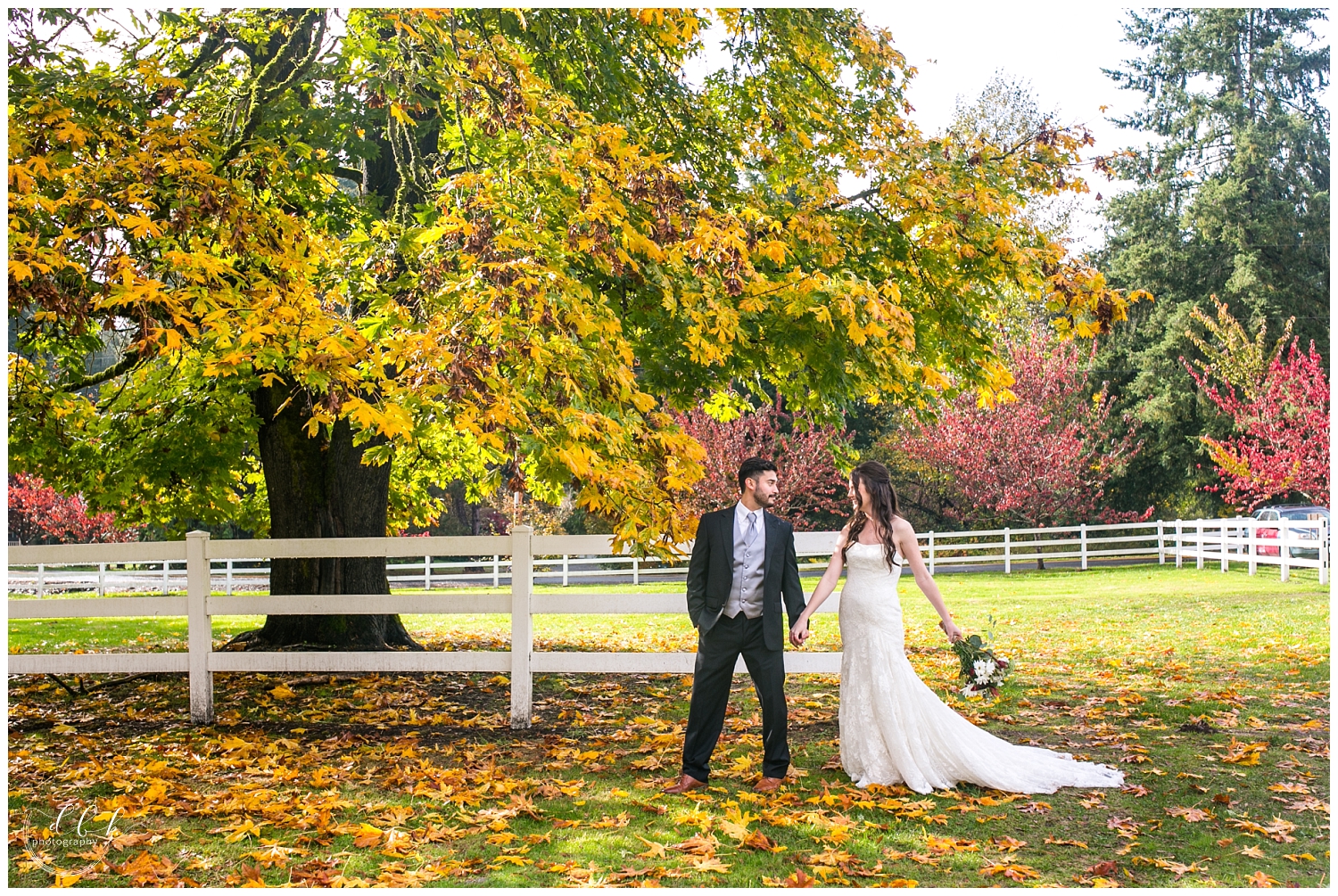 bride and groom portraits under colorful tree at Filigree Farm fall wedding