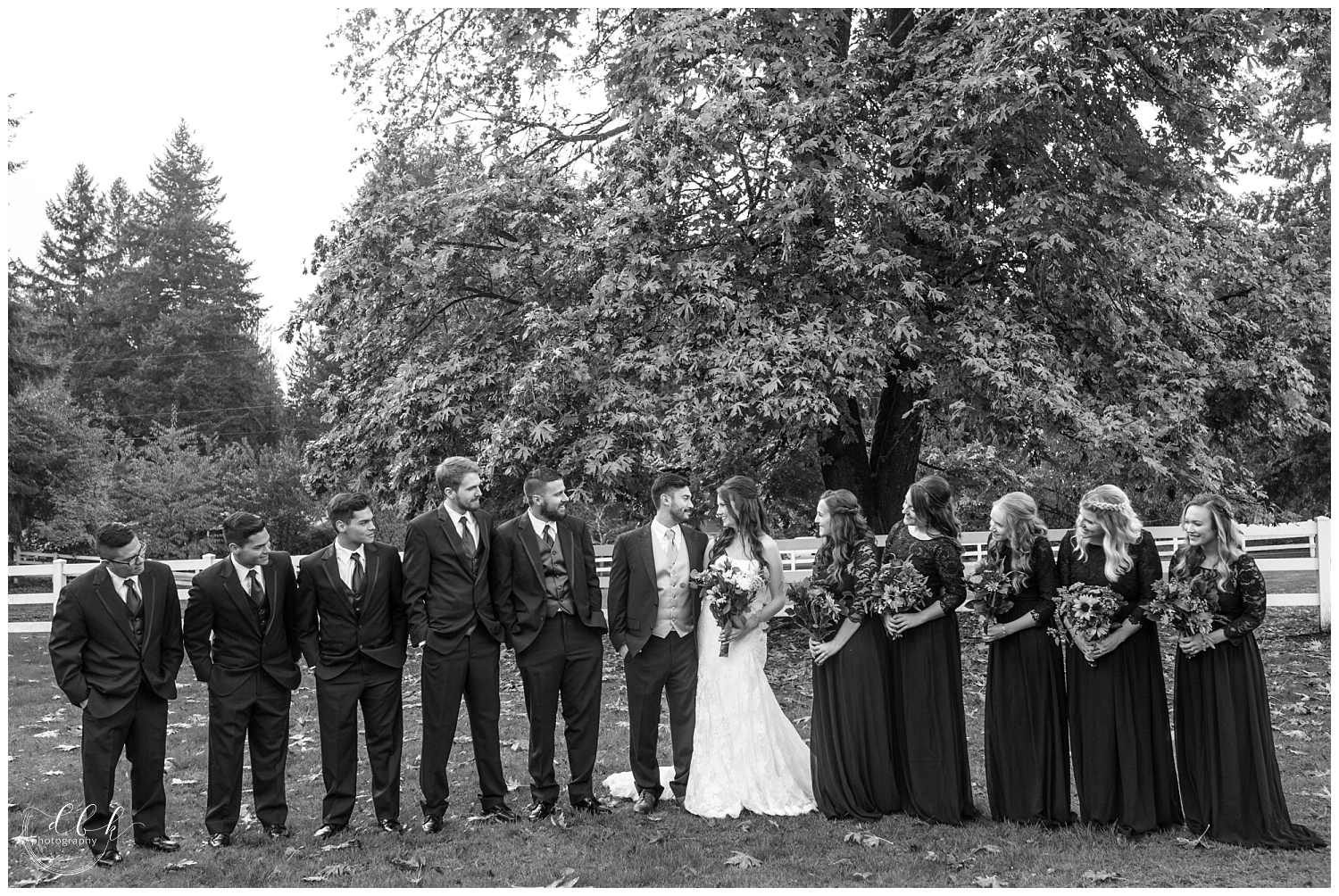 bridal party portraits at Filigree Farm fall wedding