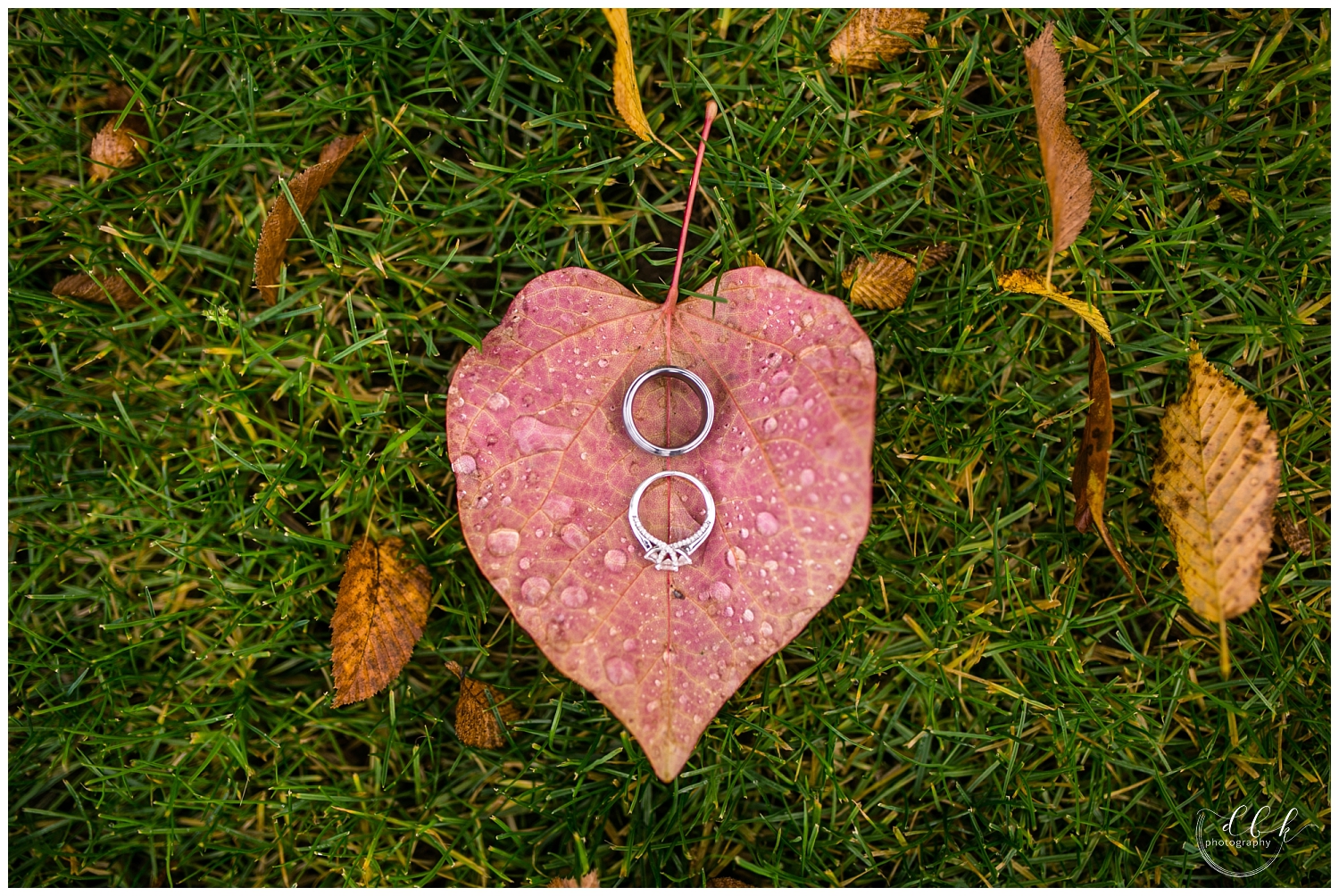 ring shot on fallen leaf for fall wedding photos at Filigree Farm