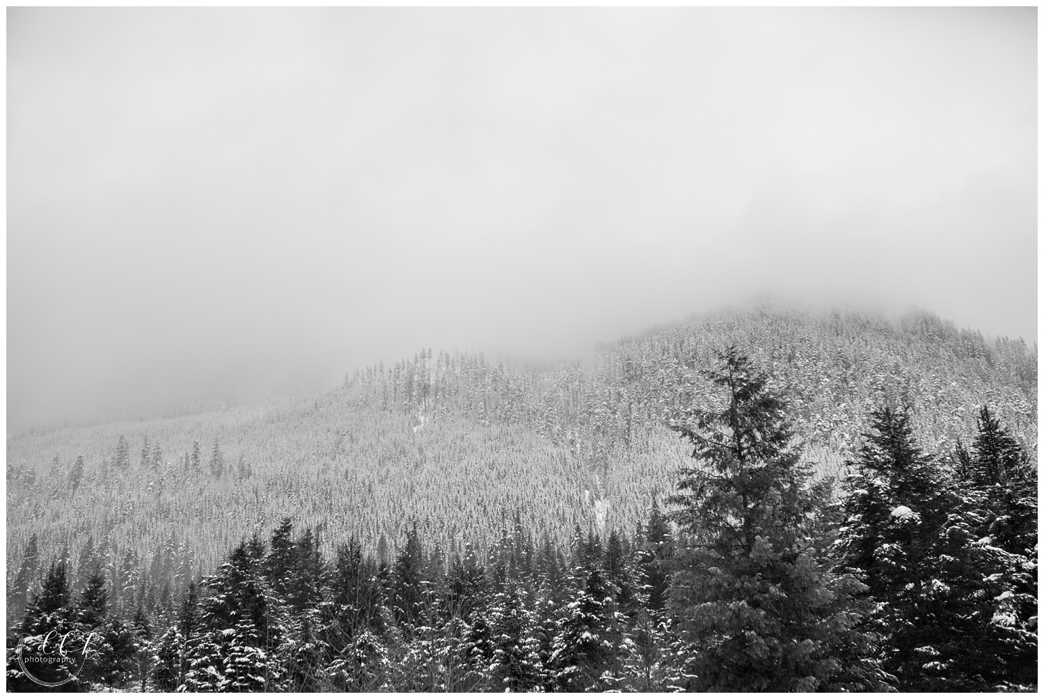 black and white picture of fog and snow in the mountains of the Pacific Northwest