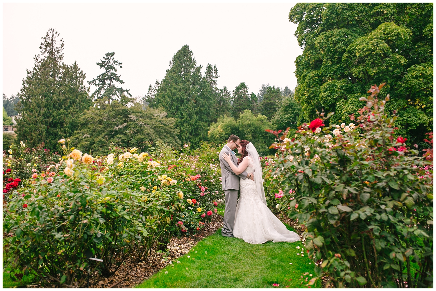 Bride and Groom Portraits at Point Defiance Park Rose Garden in Tacoma, WA