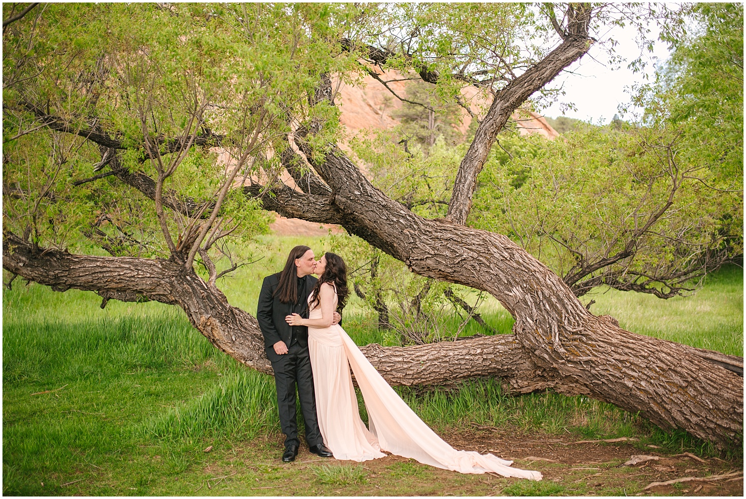 Bride in flowing pink dress kisses her groom under large tree at Red Rock Canyon Open Space 