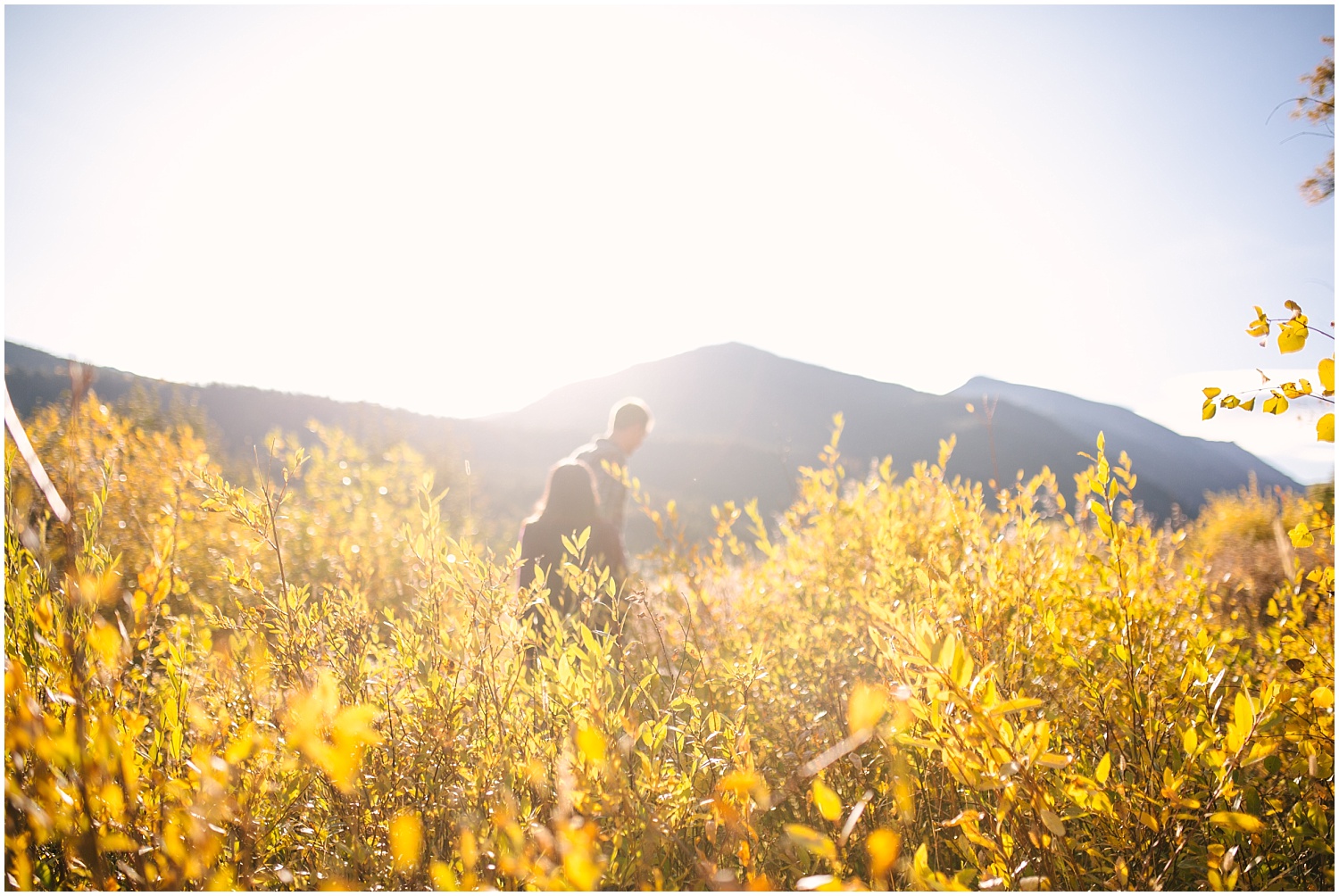Couple walking through tall grass for fall engagement session at RMNP