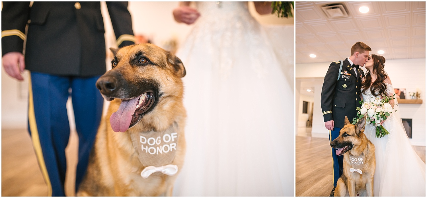 Dog of Honor German Shepherd with bride and groom