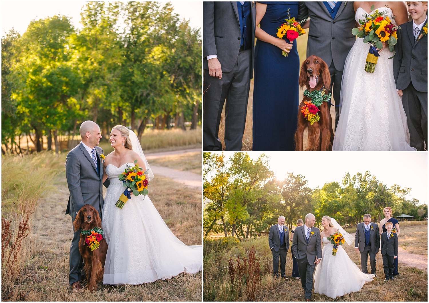 Bride and groom pictures with Irish Setter wearing flower collar