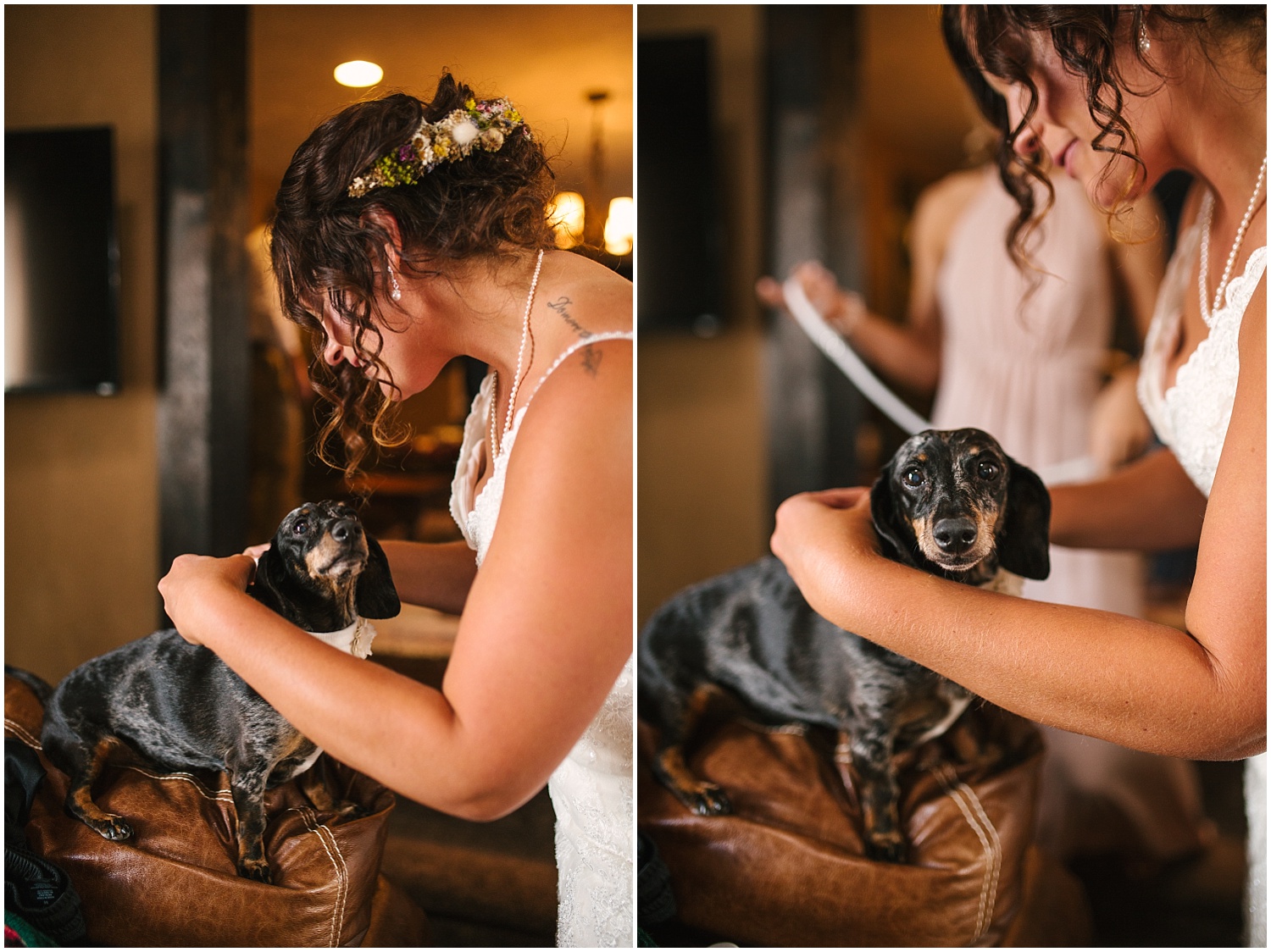 Bride dressing up her dog for wedding ceremony at Guyton Ranch