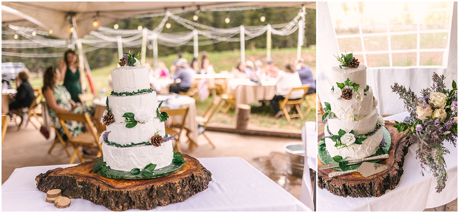 Simple cake with greenery and wood cake stand for mountain wedding near Telluride Colorado
