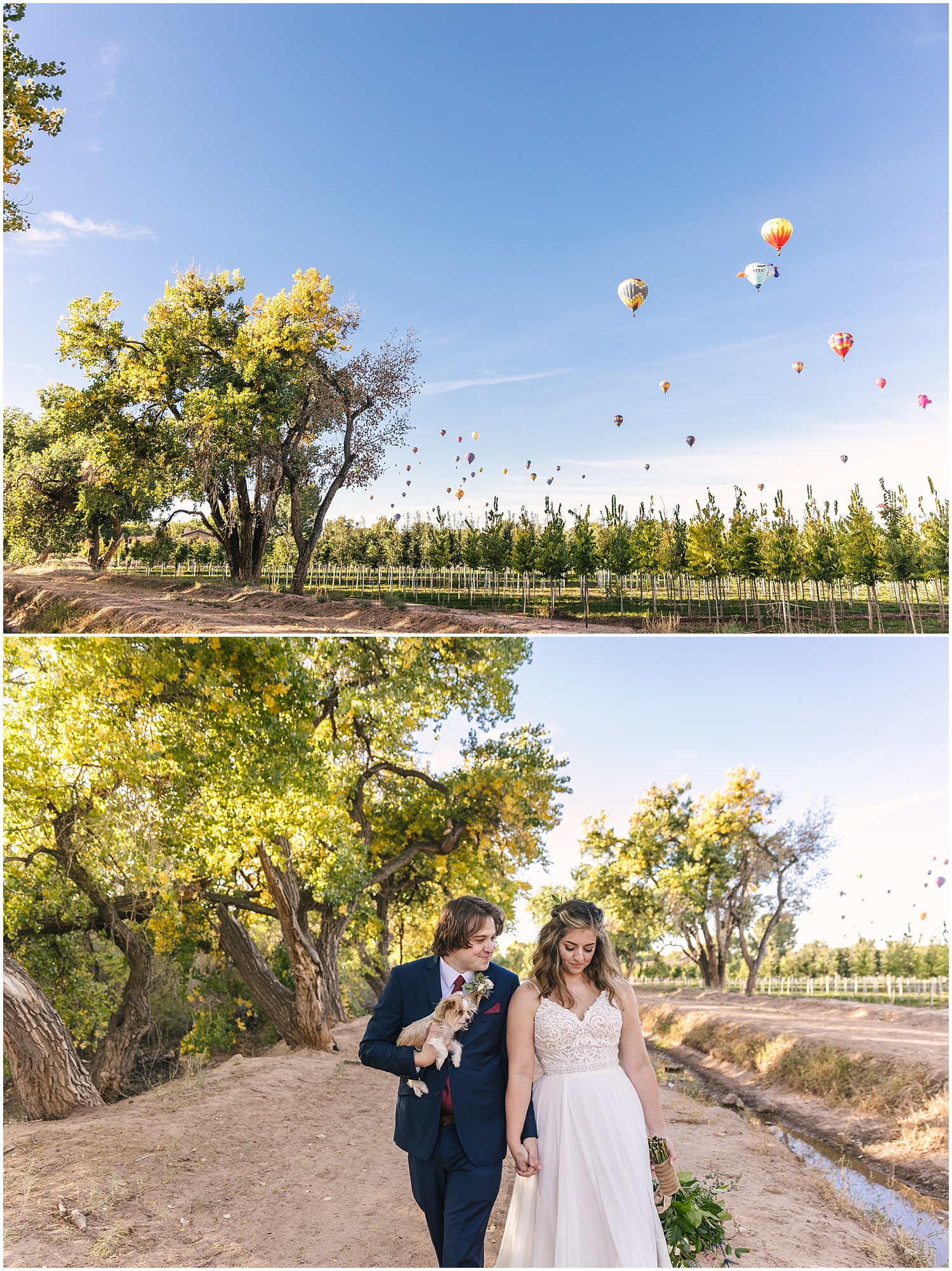 Balloons floating over Corrales during sunrise elopement