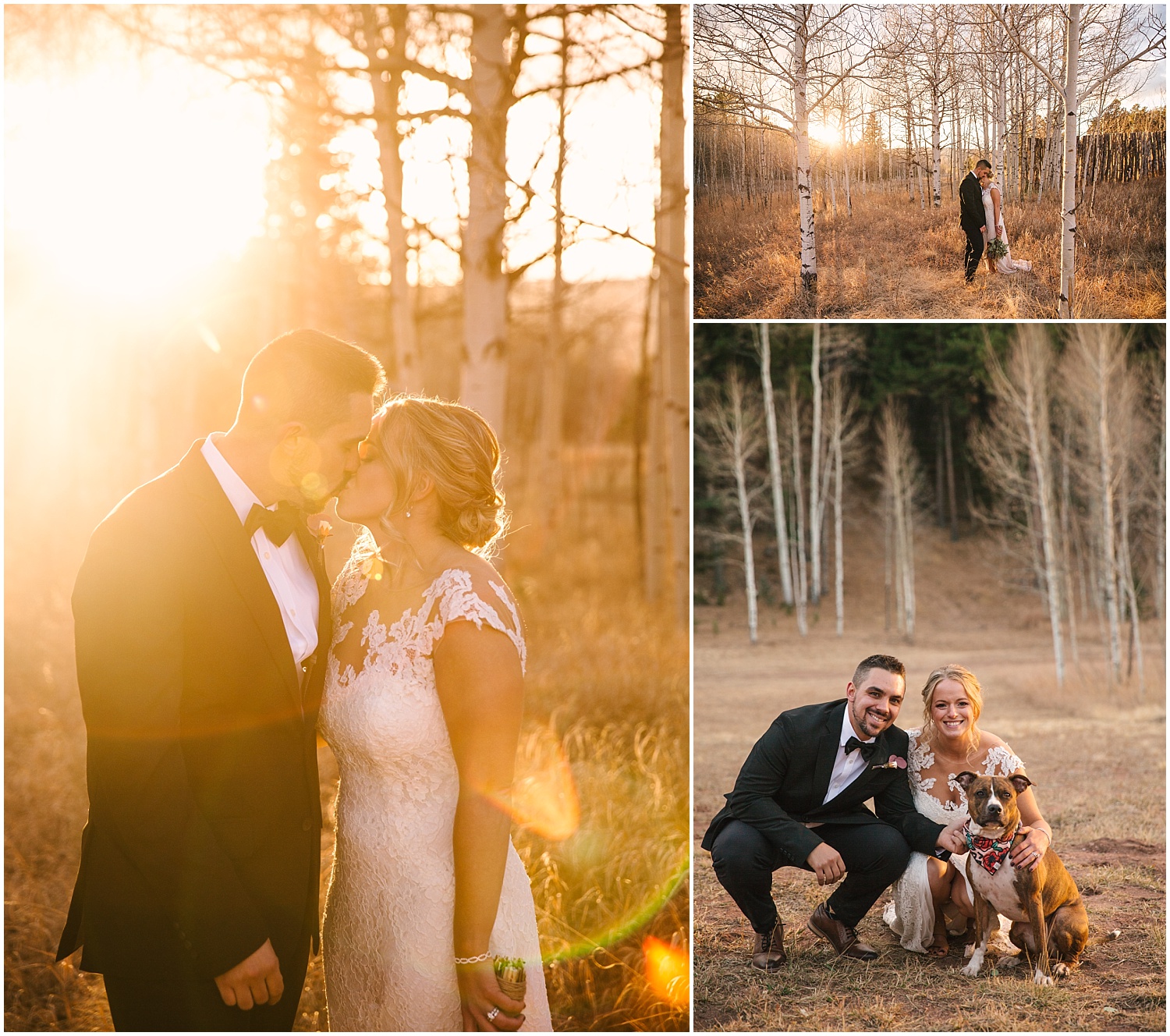 Bride and groom portraits in a field surrounded by forest for Woodland Park wedding