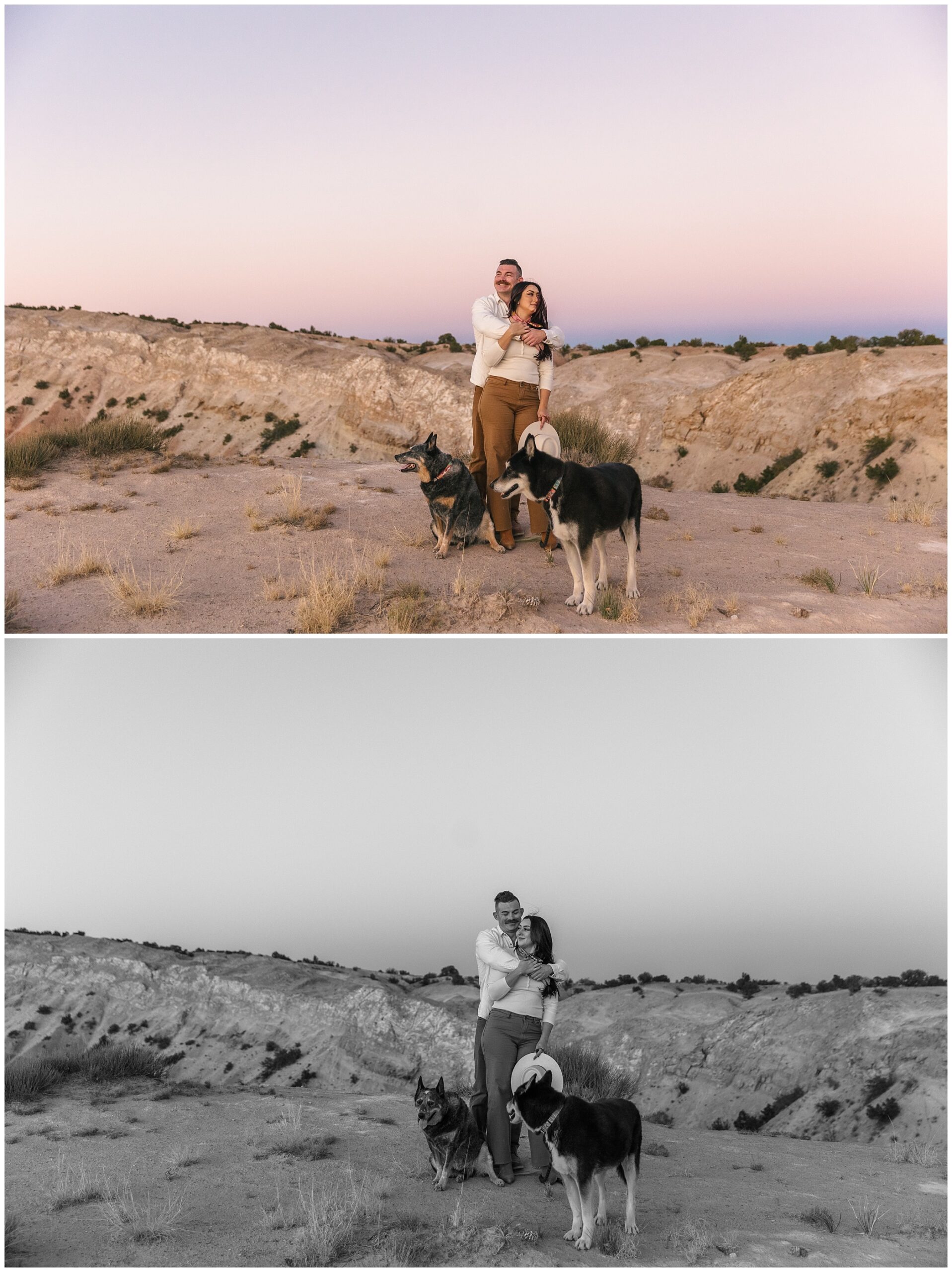 White Ridge engagement shoot with two dogs at sunset in New Mexico desert