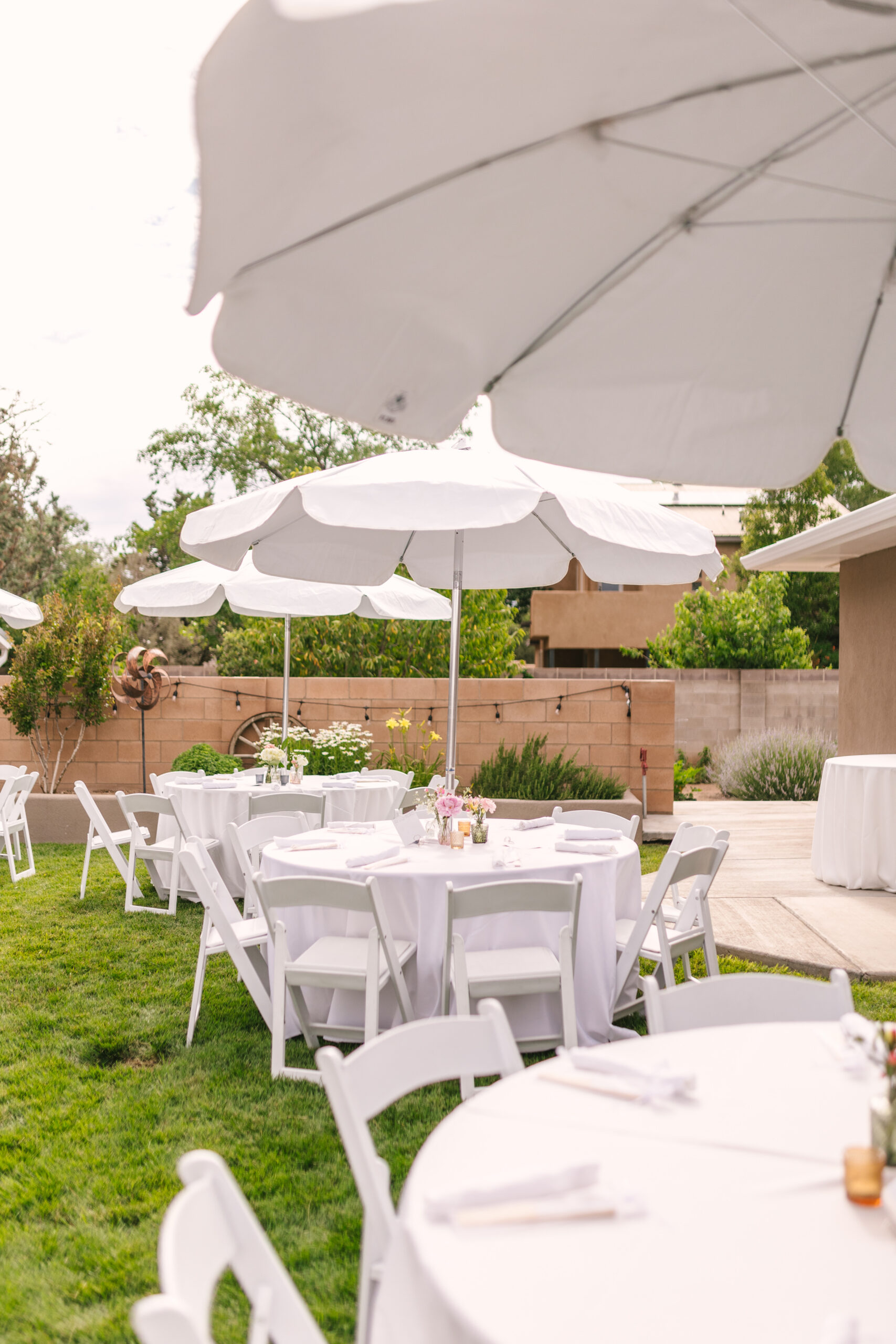 white umbrellas for secret garden backyard wedding in Los Ranchos de Albuquerque