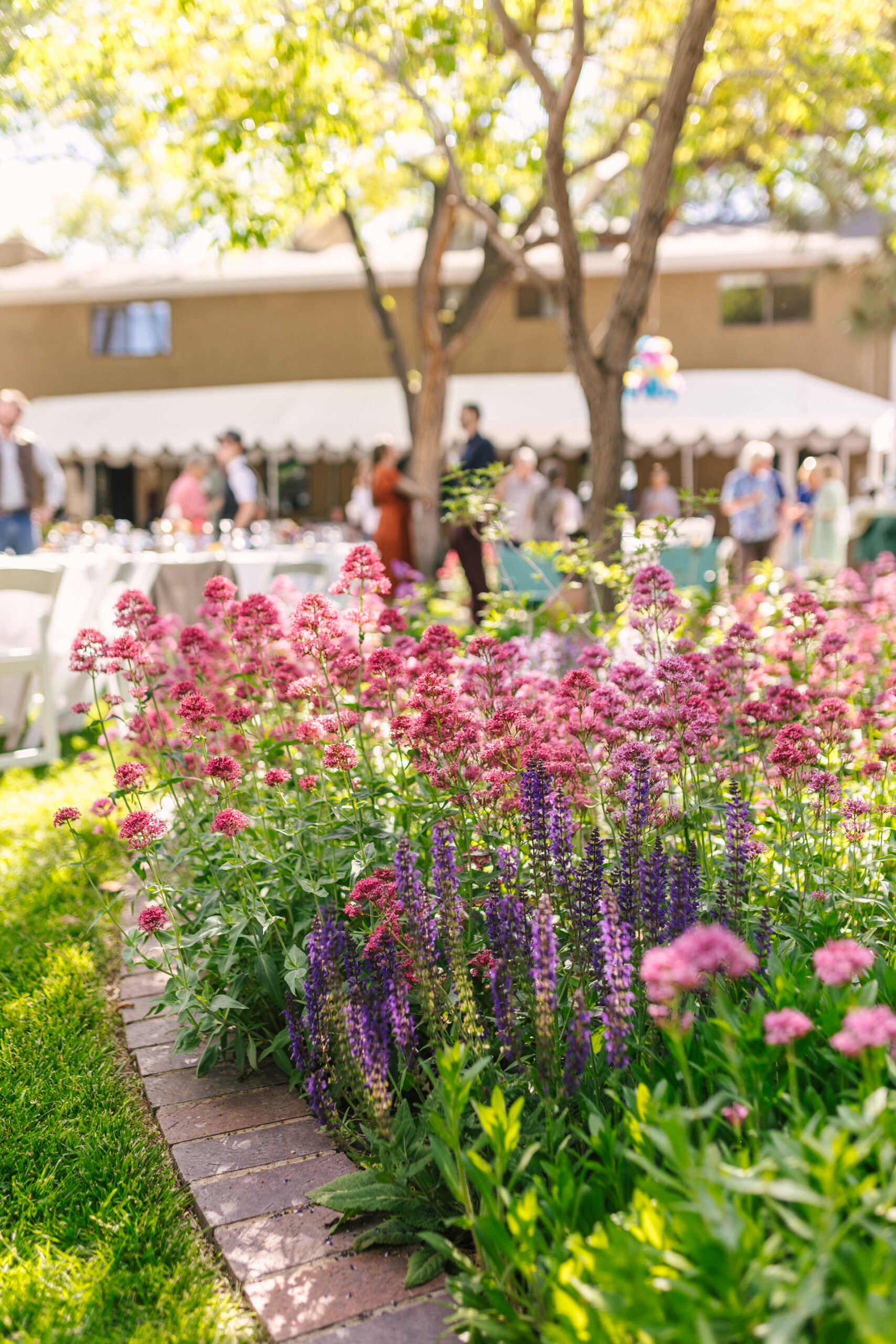 lush spring flower garden for backyard wedding in Albuquerque, New Mexico