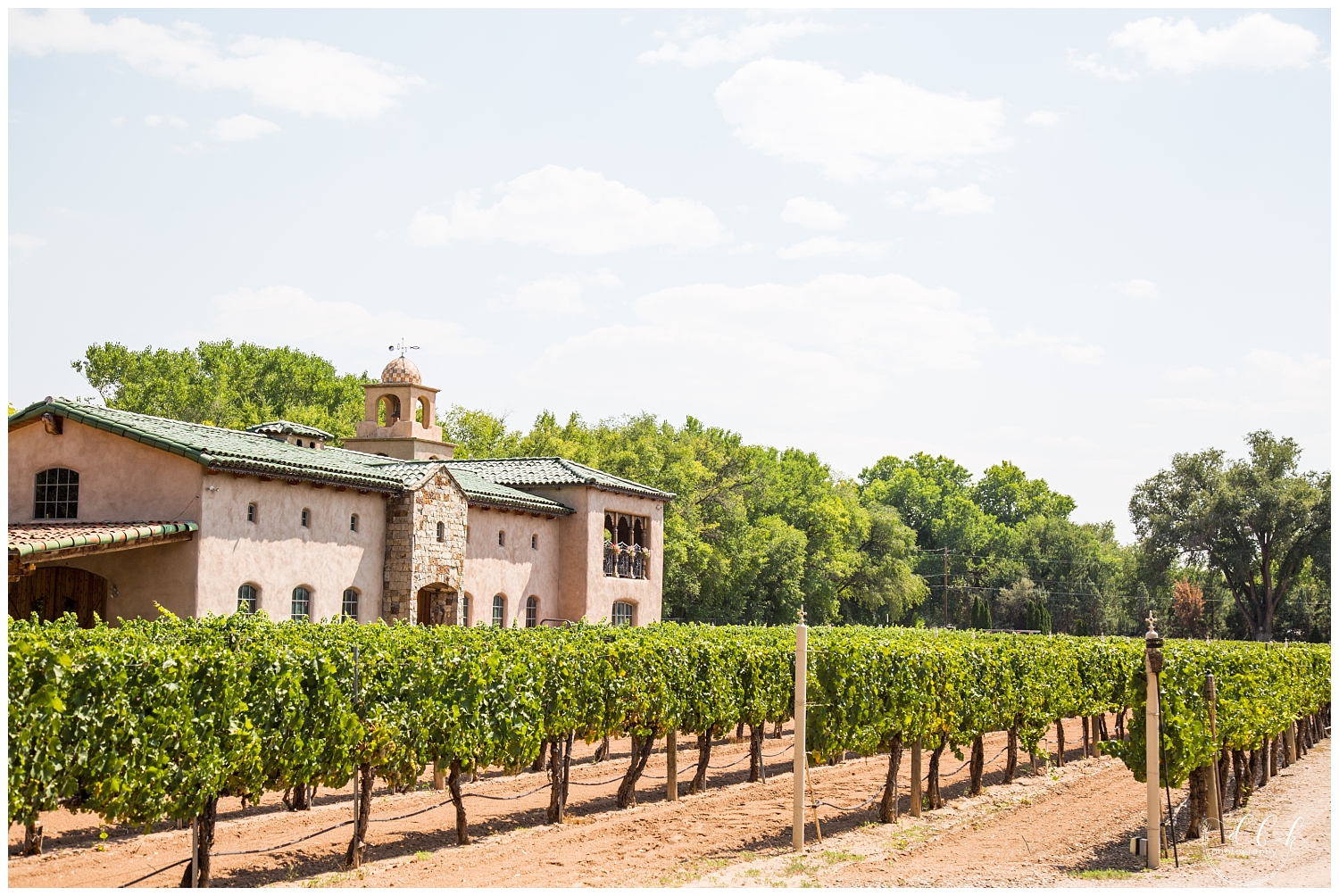 Casa Rondena Winery vineyards