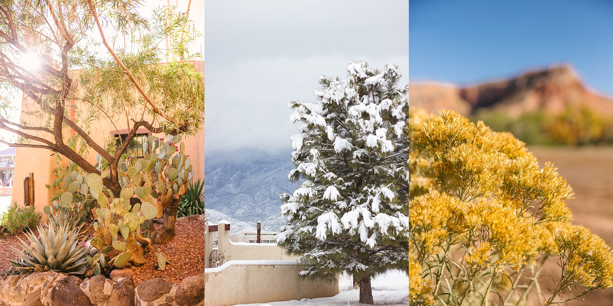 different seasons in New Mexico